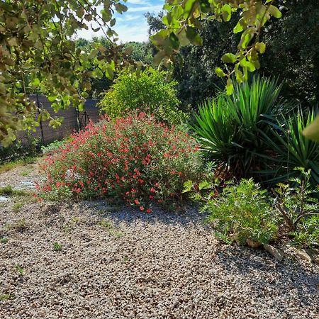Le Calme De La Garrigue Bed & Breakfast Russan Exterior photo