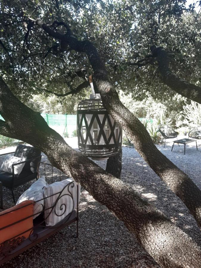 Le Calme De La Garrigue Bed & Breakfast Russan Exterior photo