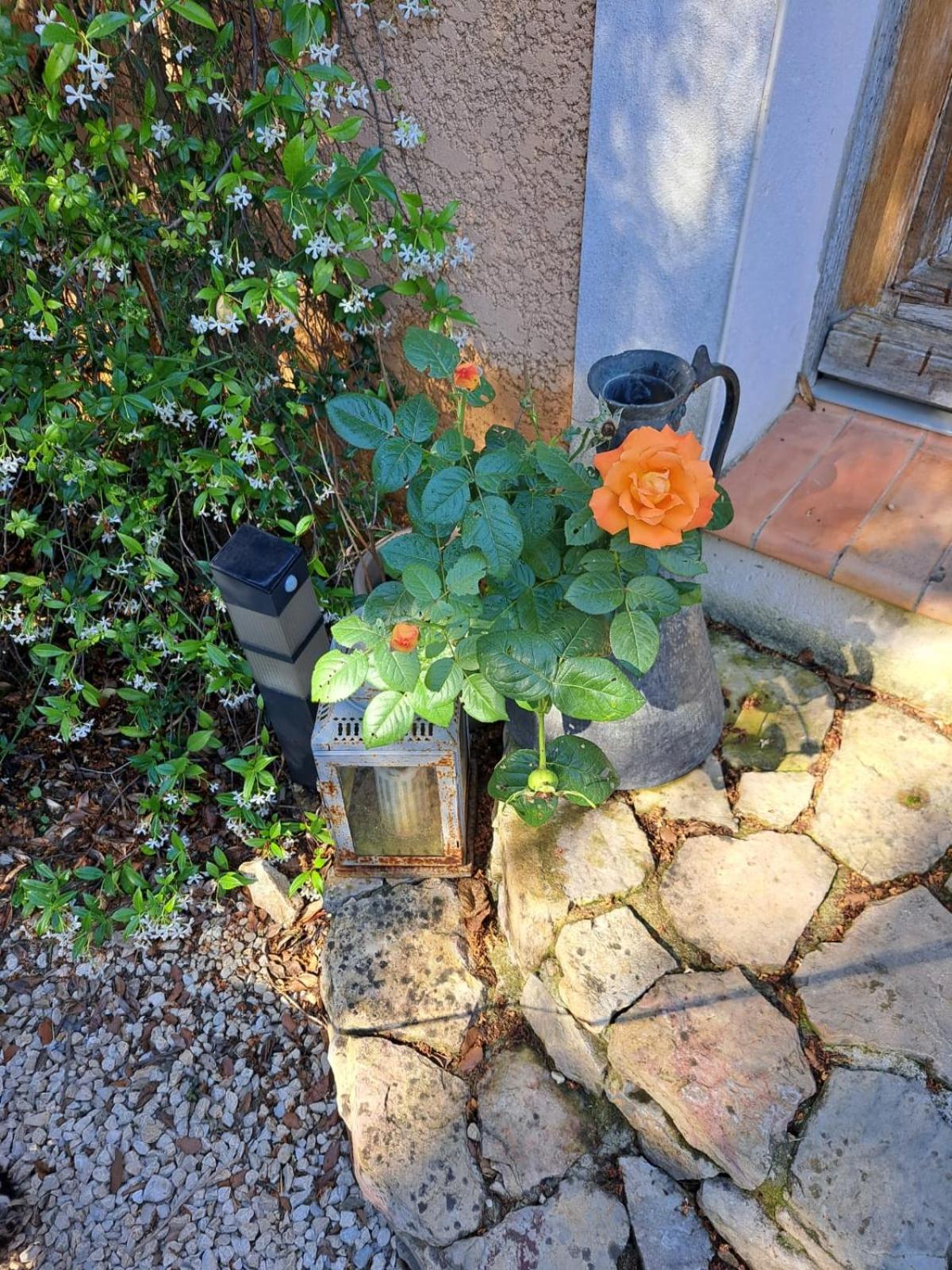 Le Calme De La Garrigue Bed & Breakfast Russan Exterior photo