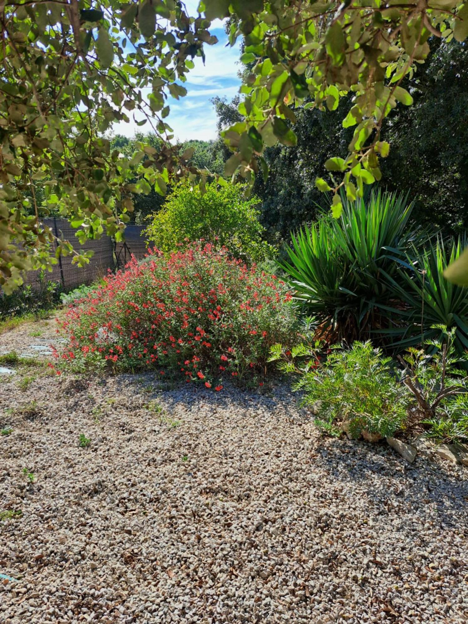 Le Calme De La Garrigue Bed & Breakfast Russan Exterior photo